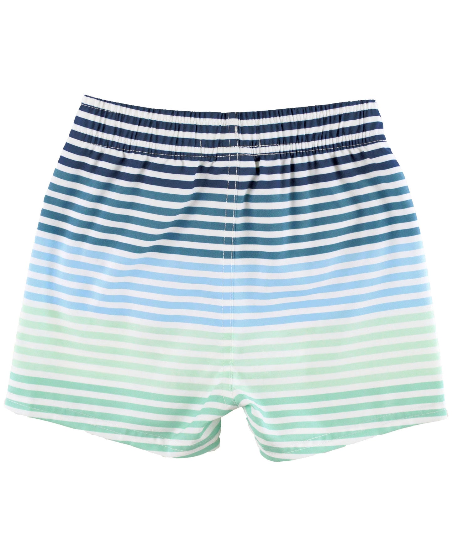 Boys Coastal Stripes Swim Trunks