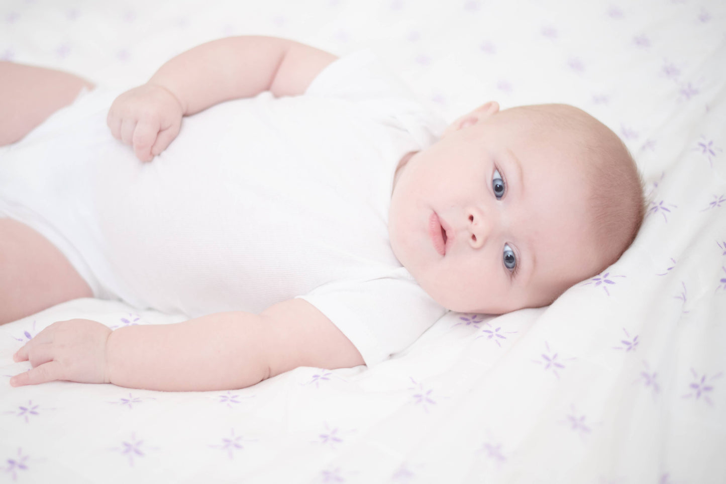 Lavender Flower and White Newcastle Blanket