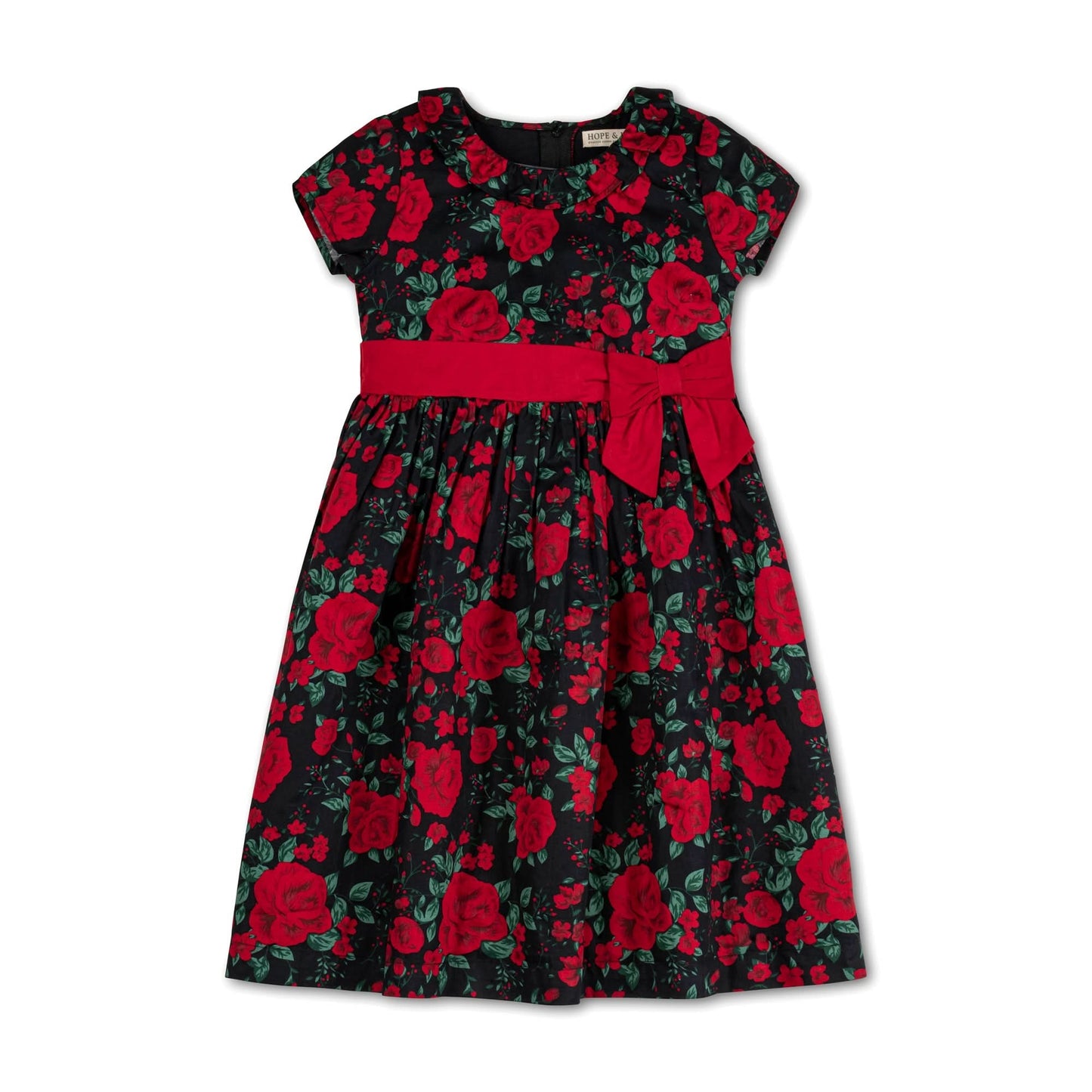 Ruffle Collar Party Dress - Baby